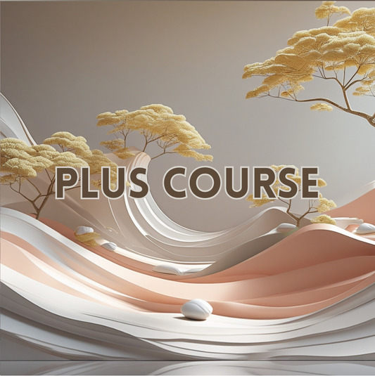 Plus Course